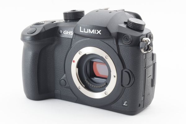 m162 極上 パナソニック PANASONIC LUMIX RD-SPM049 ボディ m162 極上 パナソニック PANASONIC LUMIX RD-SPM049 ボディ