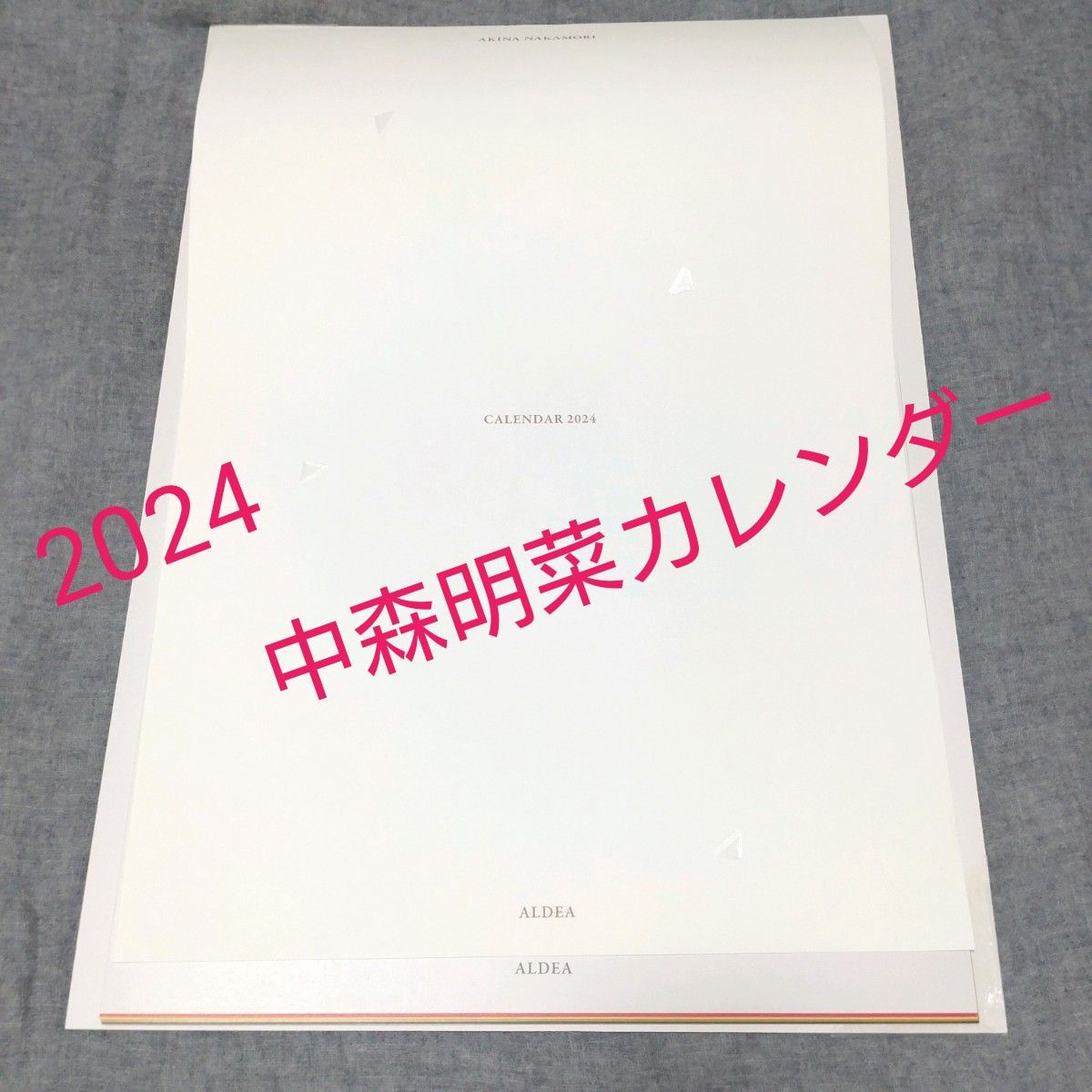 送料込  お値下げ  中森明菜カレンダー2024   FC会員限定販売