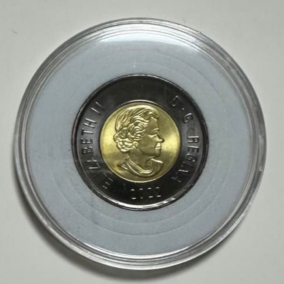 カナダ 記念硬貨 ホッキョクグマ エリザベス女王 特別版