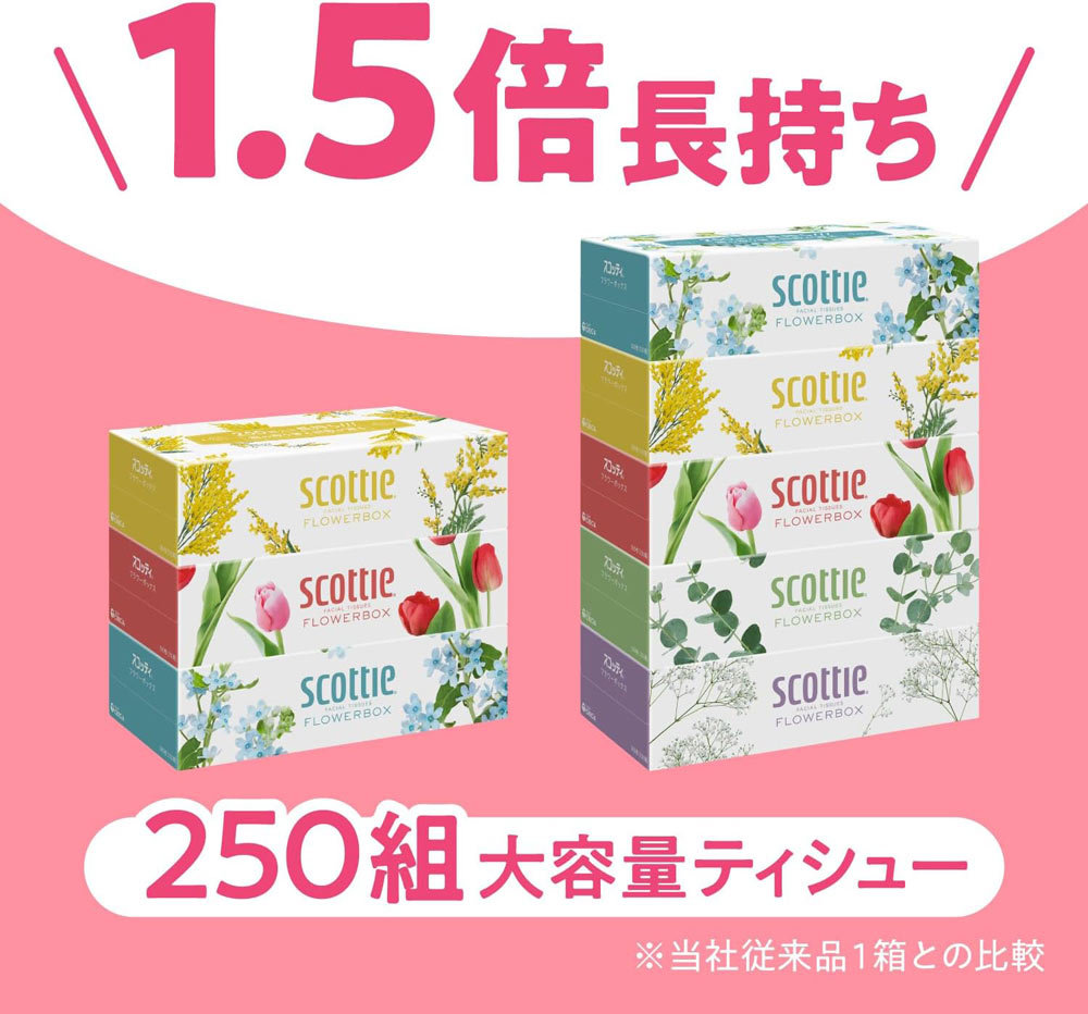 ティッシュペーパー ボックスティッシュ スコッティー 500枚(250組)ｘ３箱ｘ４パック/卸/送料無料_画像3