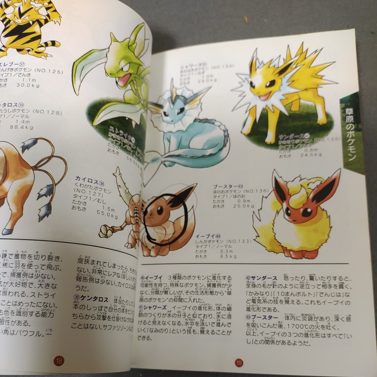 Yahoo!オークション - ポケットモンスター図鑑 ファミ通 攻略本 Yahoo!オークション - ポケットモンスター図鑑 ファミ通 攻略本