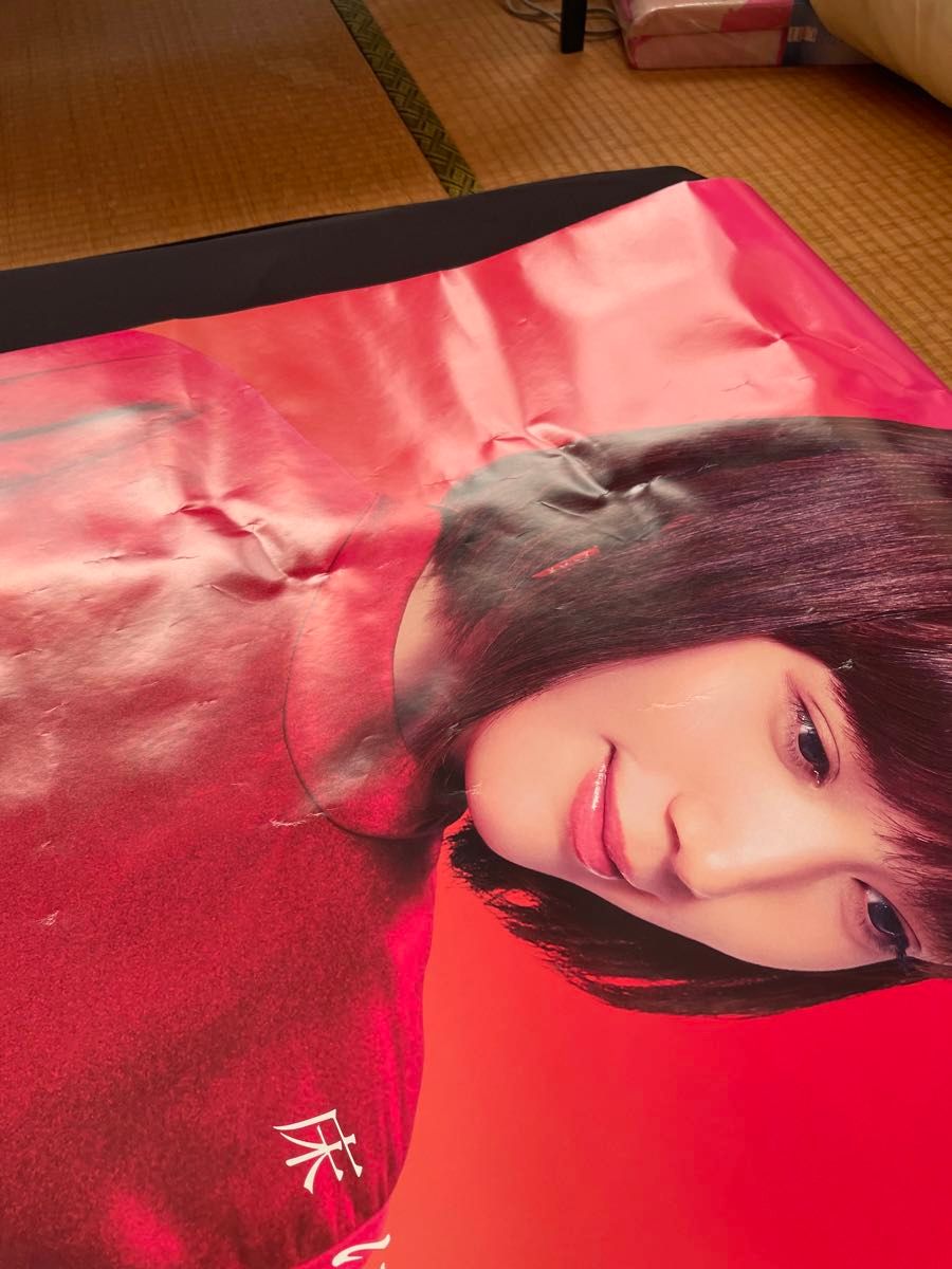 【非売品】本田翼のポスター田島ルーフィング／TAJIMA