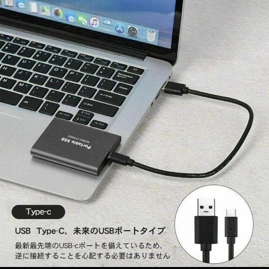 【正規品】ポータブルSSD 外付け SSD ブラック 1TB 