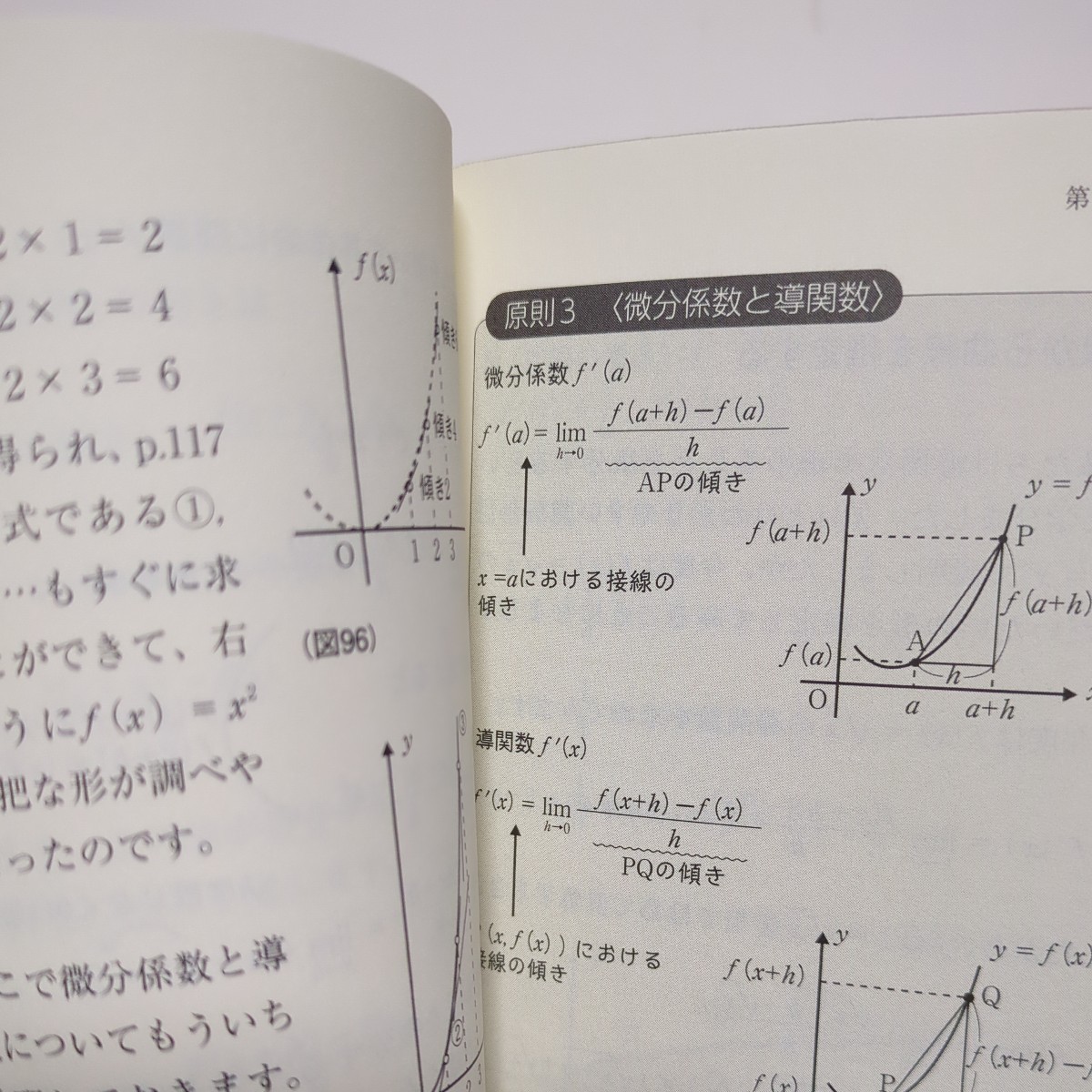 高校生が感動した微分・積分の授業 ＰＨＰ新書 山本俊郎 中古 数学 代々木ゼミナール 大学受験 教養 代ゼミ 予備校