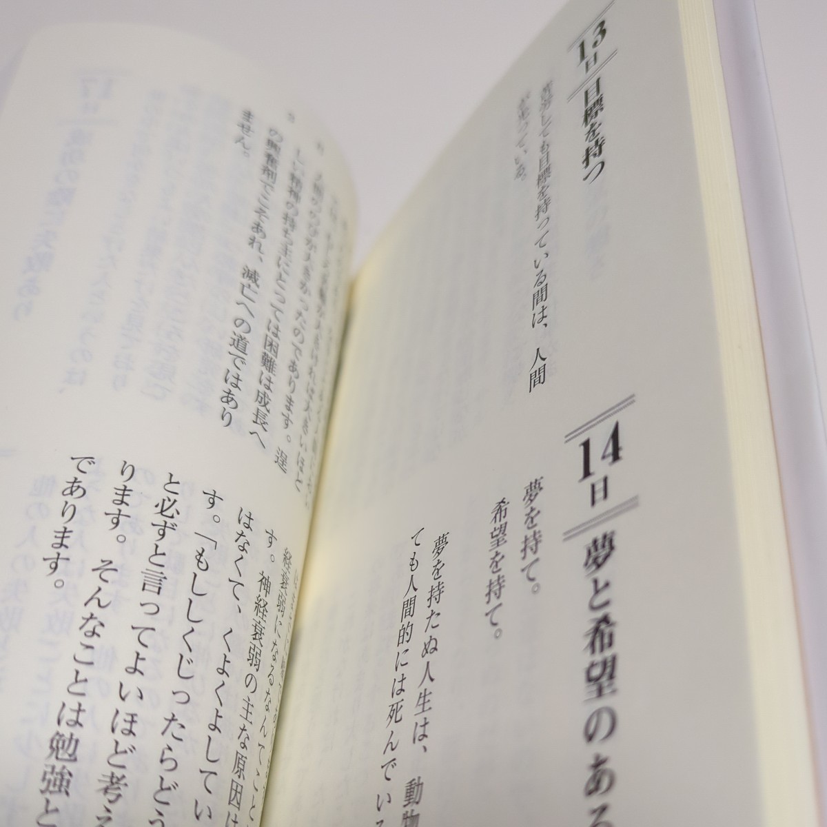 平澤興一日一言　生きるとは燃えることなり （致知一日一言シリーズ　２１） 平澤興 中古 01101F025