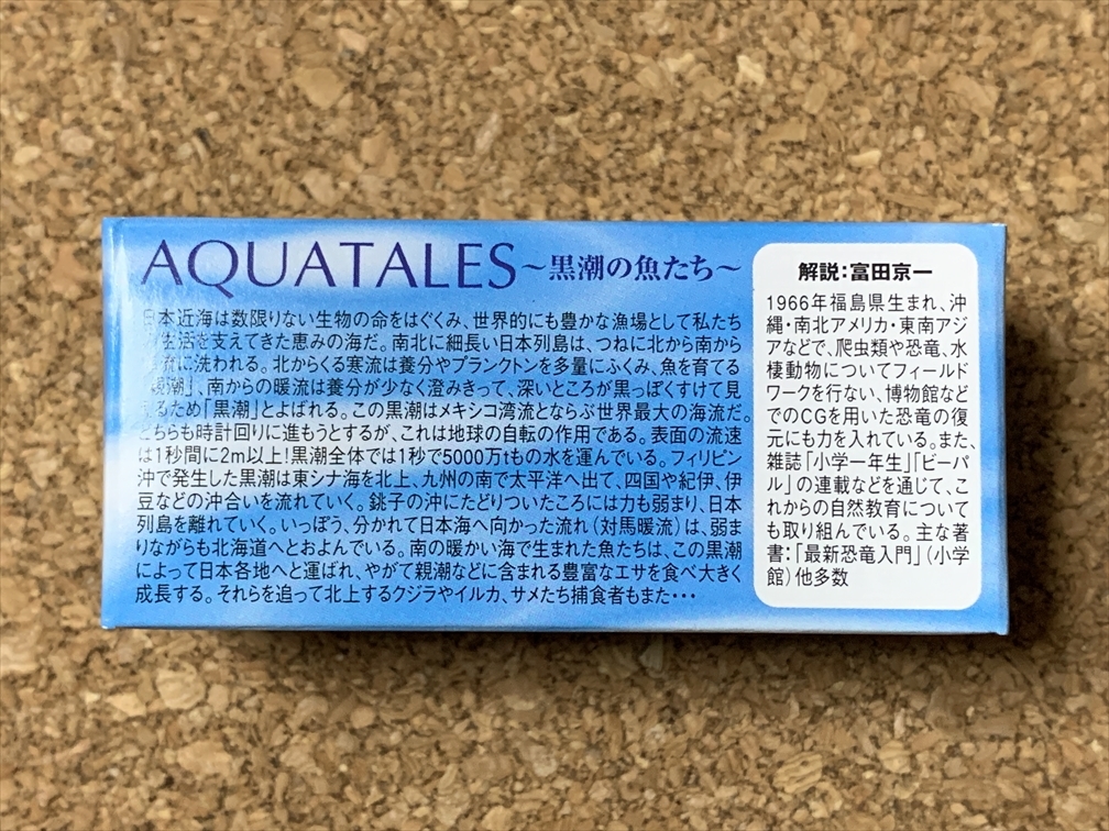 【フィギュア　１】AQUATALES　黒潮コメッコ　ハンドウイルカ　海洋堂　KAIYODO　田熊勝夫　松村しのぶ　Tursiops truncatus_画像2