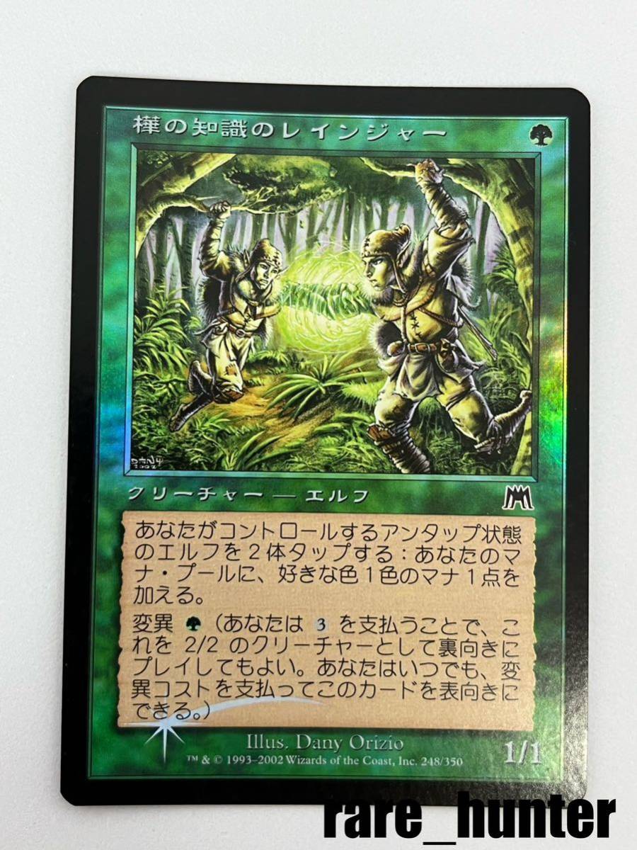 ☆即決 MTG オンスロート 樺の知識のレインジャー Foil 日本語☆_画像1