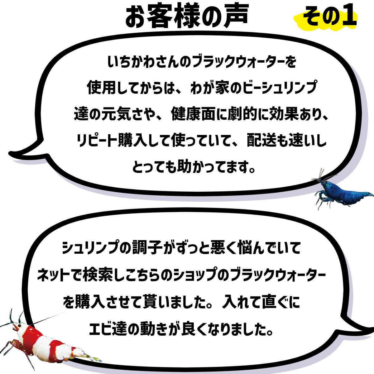 【送料無料】ブラックウオーター+バクテリアセット販売 エビ.金魚.熱帯魚の水槽立ち上げなどに_画像10