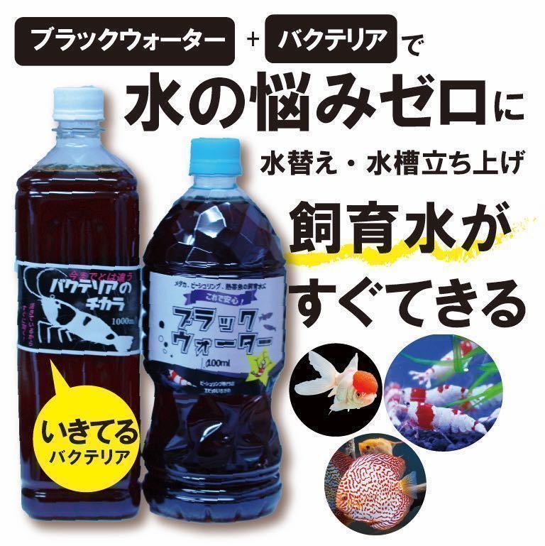 【送料無料】ブラックウオーター+バクテリアセット販売 エビ.金魚.熱帯魚の水槽立ち上げなどに_画像1