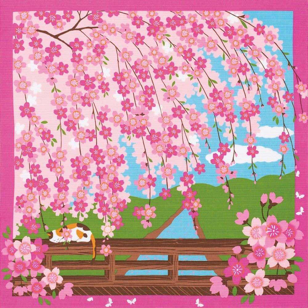 小風呂敷 三毛猫みけのゆめ日記 みけのお花見 4月 ふろしき 50cm 桜 しだれ桜 さくら