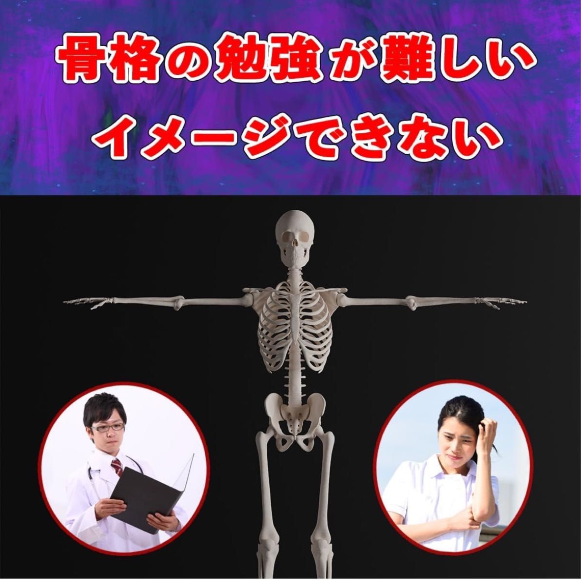 【45センチ】1/4サイズ 全身骨格模型 ミニ 人体模型 卓上サイズ 骨模型【未組み立て新品】