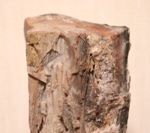 珪化木 木化石 約1.38kg 化石 原石 鑑賞石 自然石 自然石 天然石 紋石 水石 鉱物 盆石 台座付き 置物 オブジェ n512_画像2