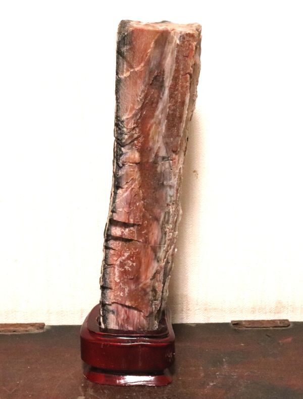 珪化木 木化石 約1.38kg 化石 原石 鑑賞石 自然石 自然石 天然石 紋石 水石 鉱物 盆石 台座付き 置物 オブジェ n512_画像5