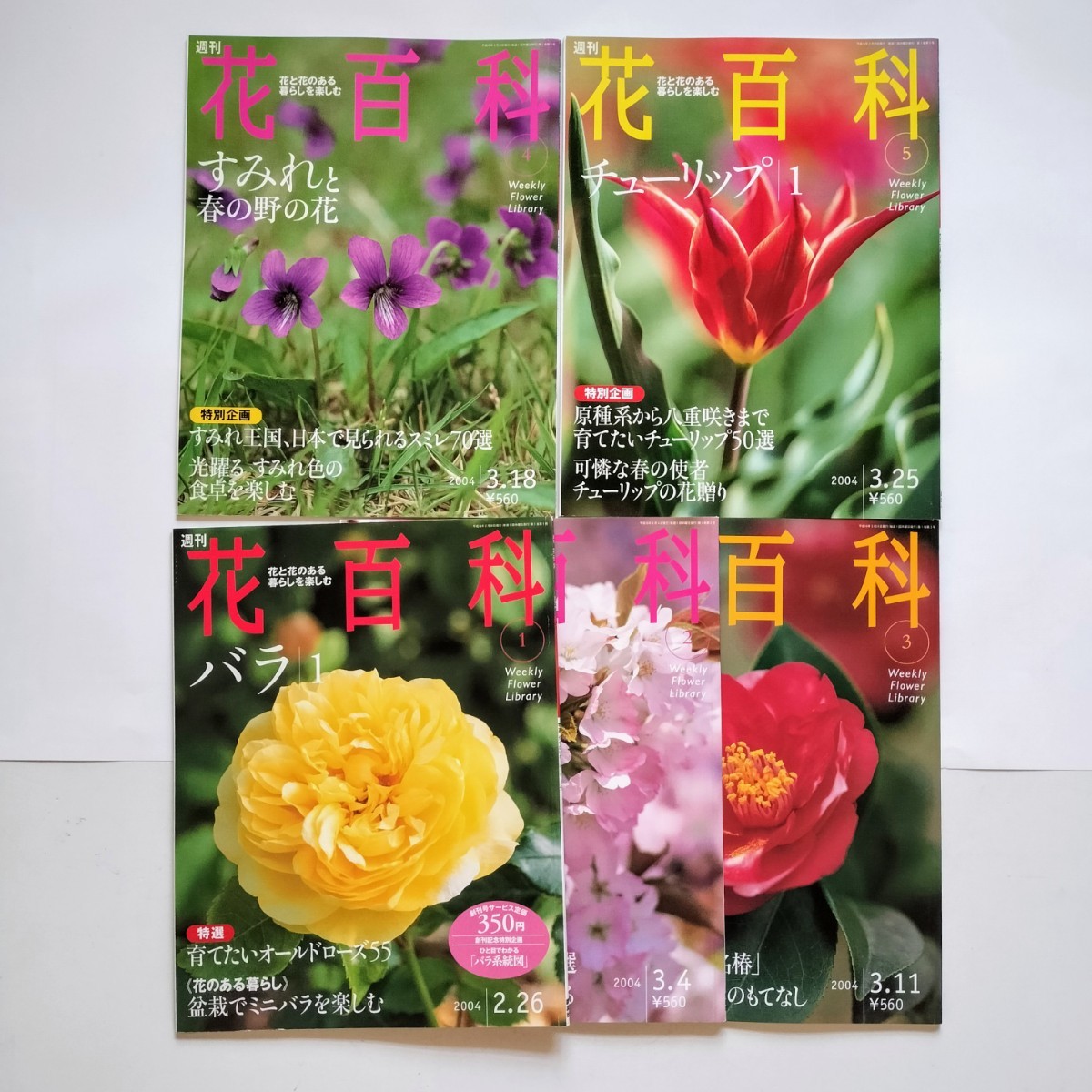 週刊　花百科　5冊セット