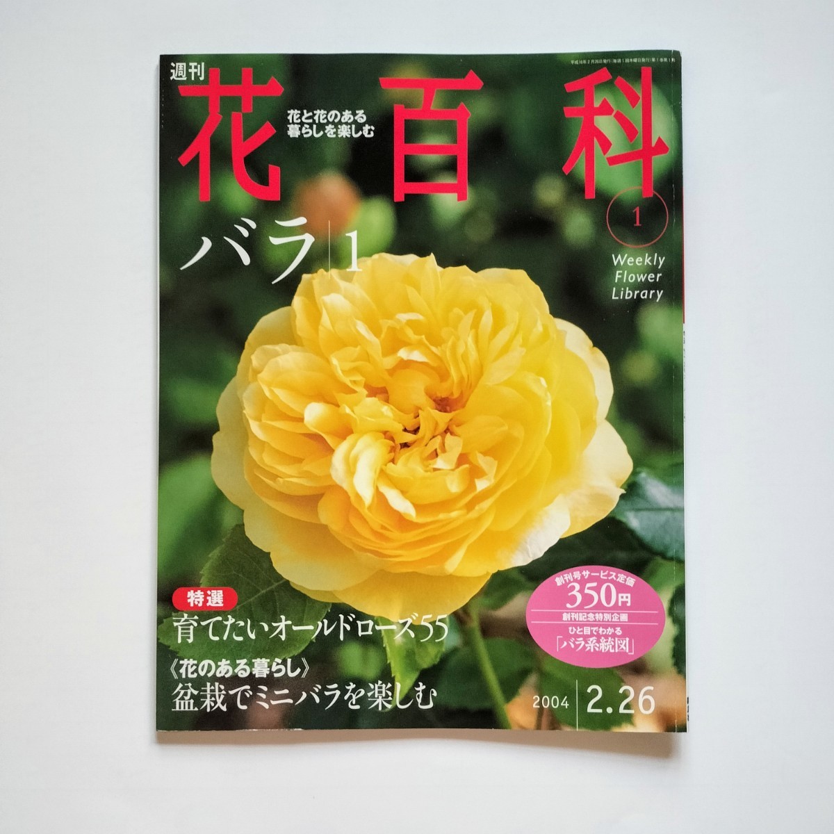 週刊　花百科　5冊セット