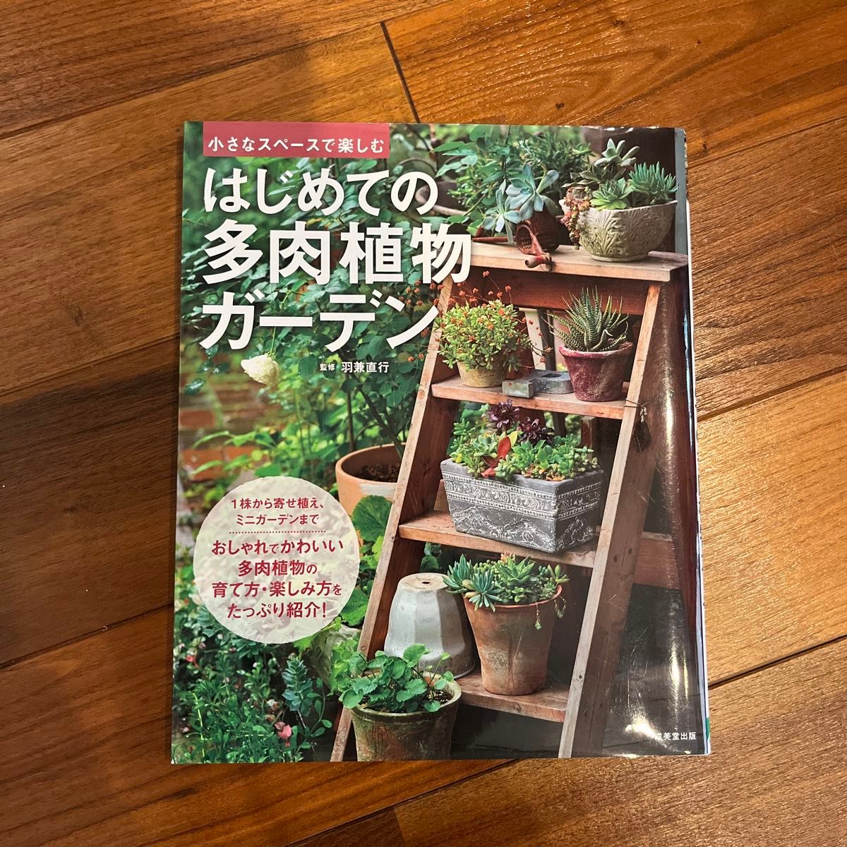 2冊セット　はじめての多肉植物ガーデン　小さなスペースで楽しむ 羽兼直行／監修　　DIYを生かした 小さな庭づくり