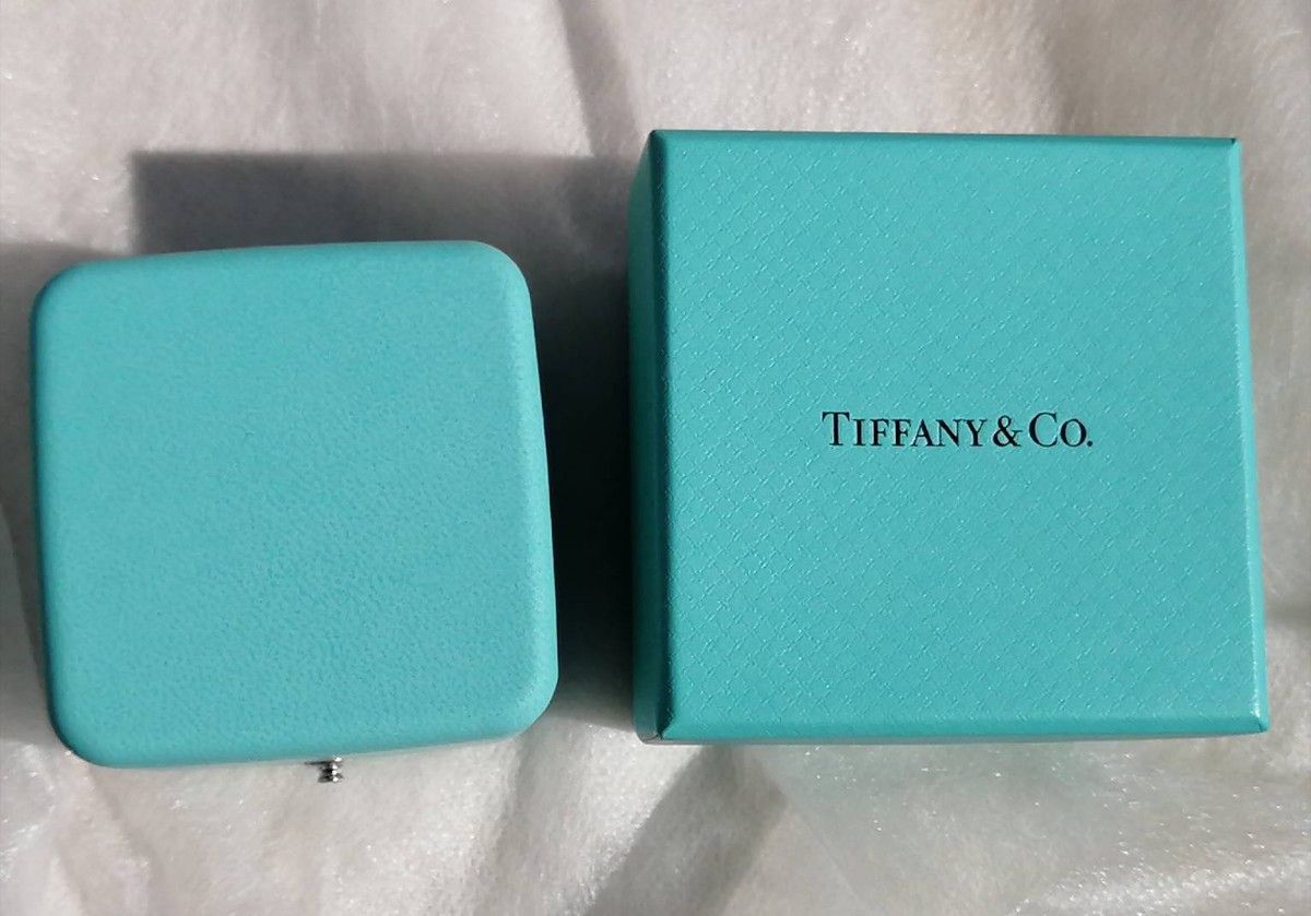 ティファニーブルーケース箱付    TIFFANY&Co. ティファニー Pt950 ペアリング