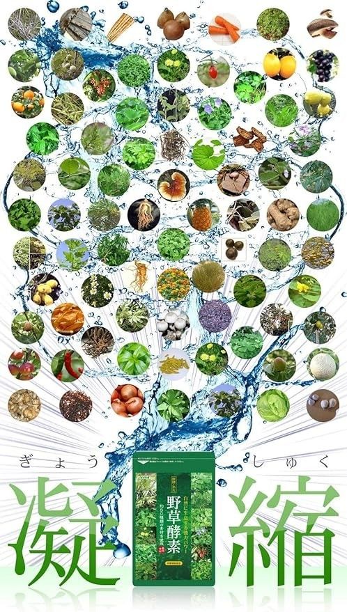 新品送料無料！11ヶ月分【野草酵素】サプリメント約80種類の野草・野菜・果実 発酵 熟成 ダイエット