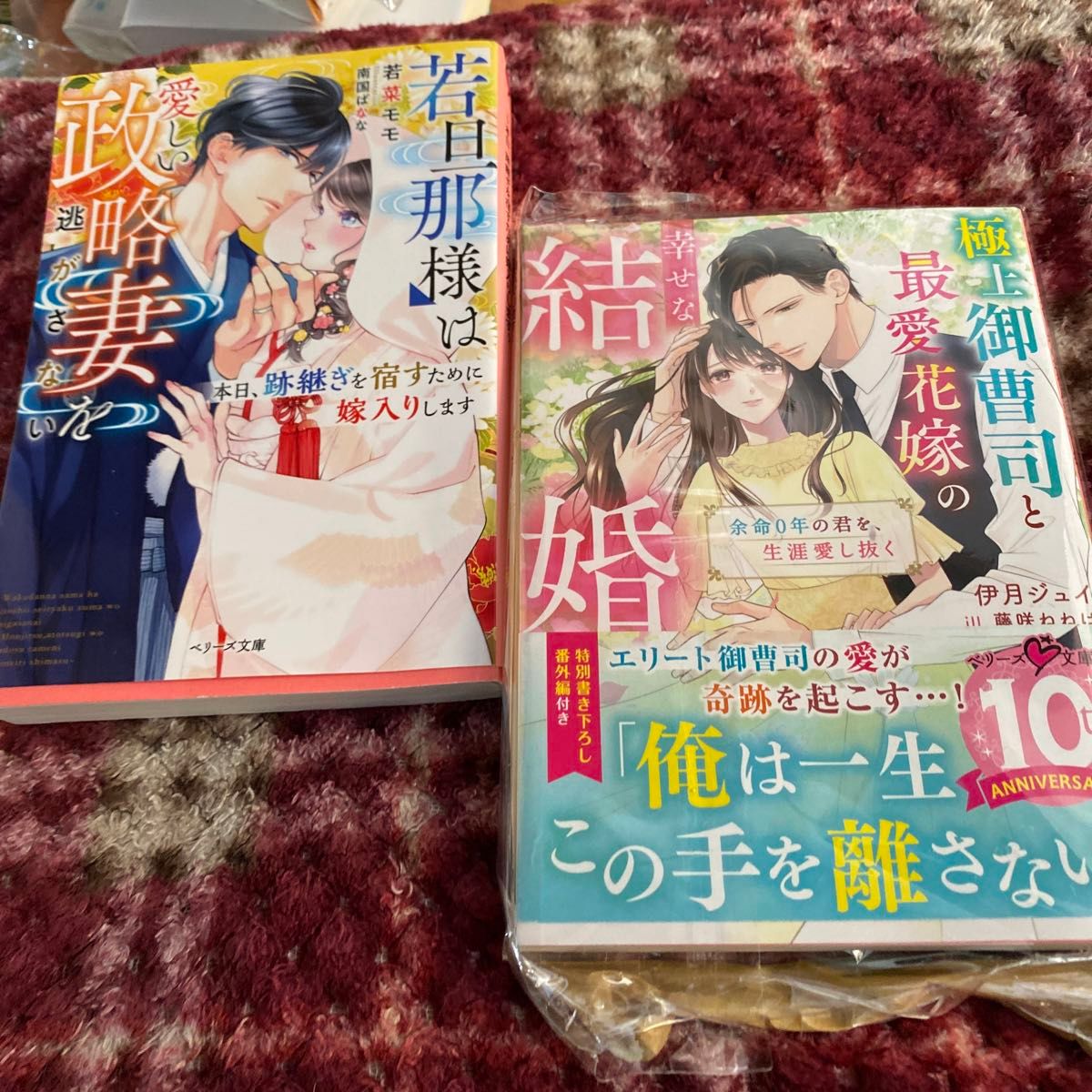 若旦那様は愛しい政略妻を逃がさない　本日、跡継ぎを宿すために嫁入りします （ベリーズ文庫　わ１－２２） 若菜モモ／著