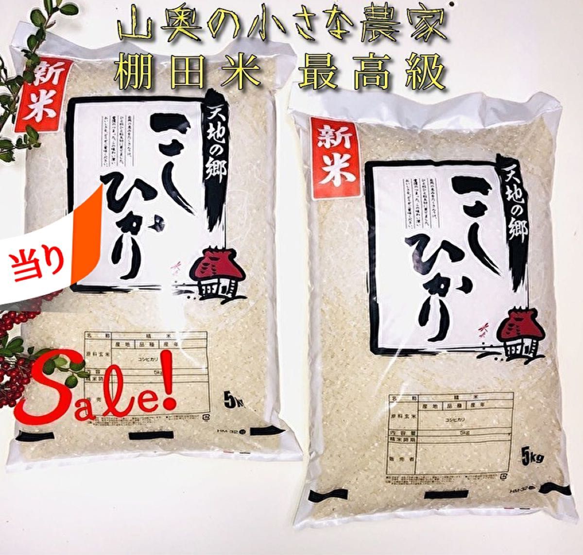 【希少】コシヒカリ　酵素米　玄米１０ｋｇ「標準白米に精米」令和５年新米　棚田米　無洗米　ミルキークィーン　ミルキークイーン　つや姫