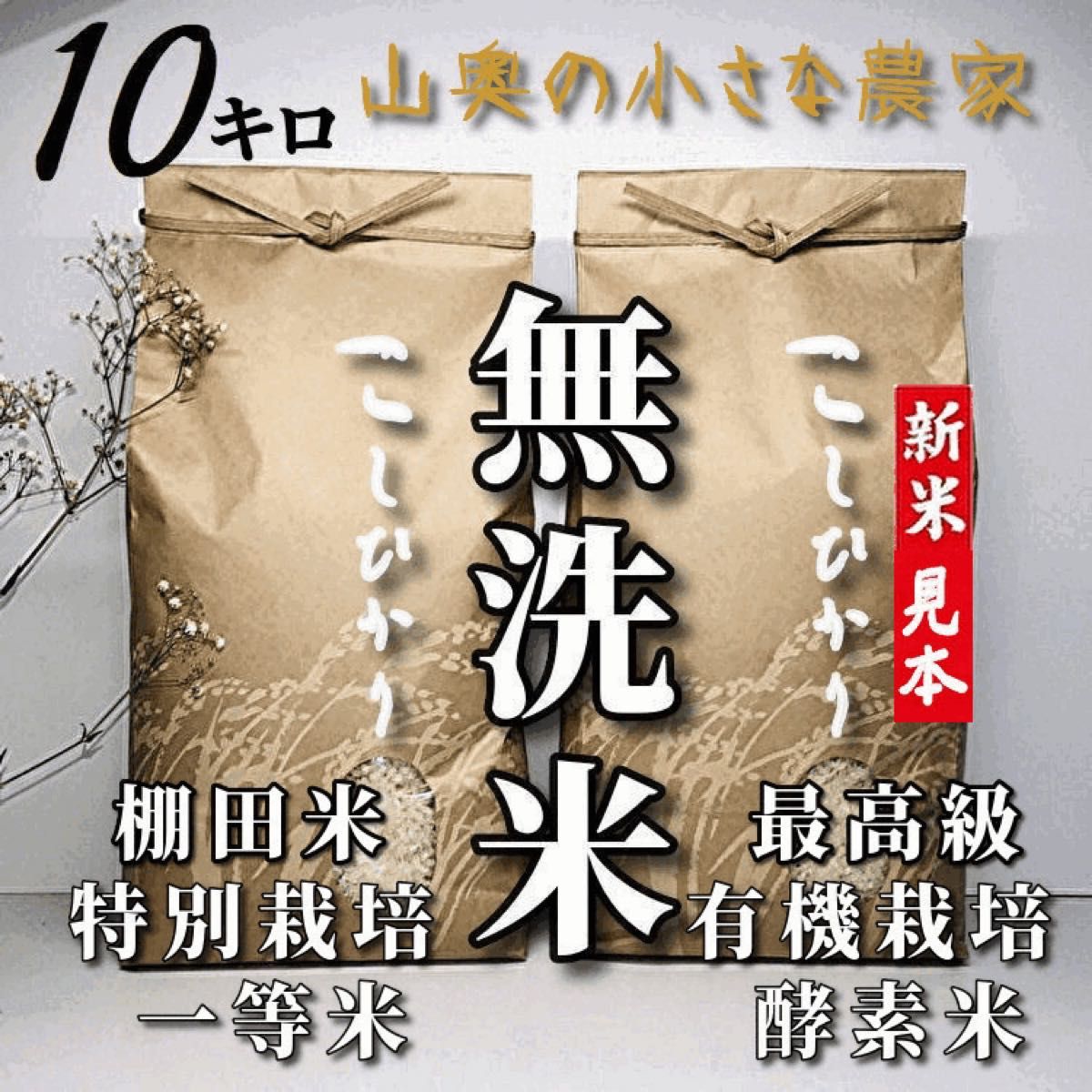 【希少】コシヒカリ　酵素米　玄米１０ｋｇ「無洗米に精米」令和５年新米　棚田米　無洗米　ミルキークィーン　ミルキークイーン　つや姫