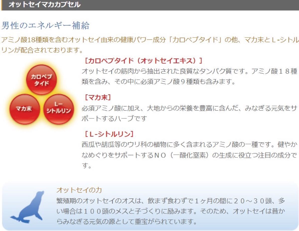 オットピン　マカカプセル120粒　精力剤　精力サプリ　精力増強剤　プロキオン