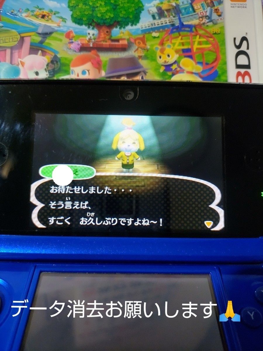 とびだせどうぶつの森 3DSソフト 任天堂