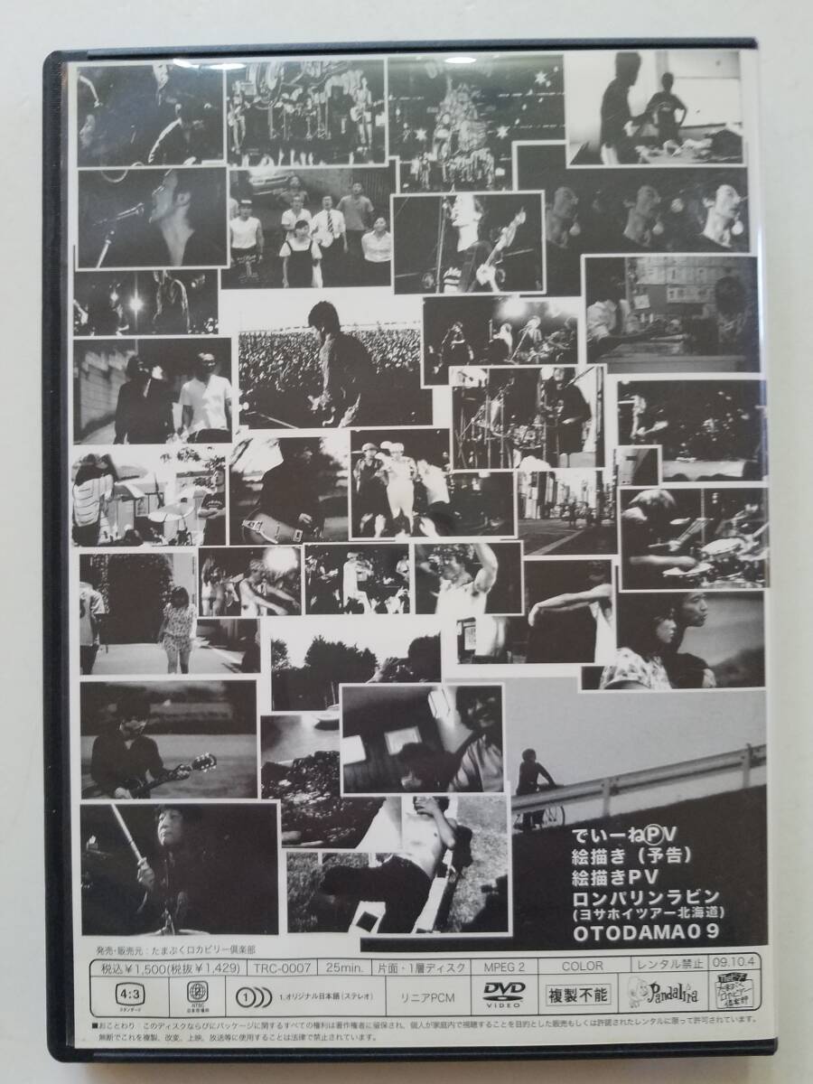 【中古DVD OFFICIAL BOOTLEG (1)/The ピーズ】_画像2