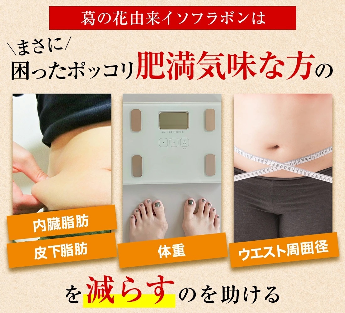 ◆賞味期限 2025.11 送料無料 ダイエット サプリ ダイエットサプリ 内臓脂肪 皮下脂肪 シボヘルシ シボヘルプ 葛の花配合 30日分の画像3