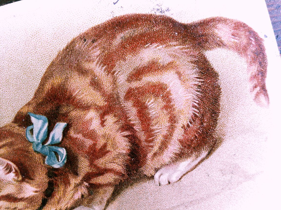 item_image_3