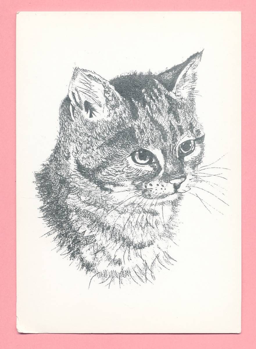 猫(31)O42◆ビンテージポストカード フランス ドイツ ベルギー イタリア イギリス ネコ ねこ 子猫 外国絵葉書_画像2