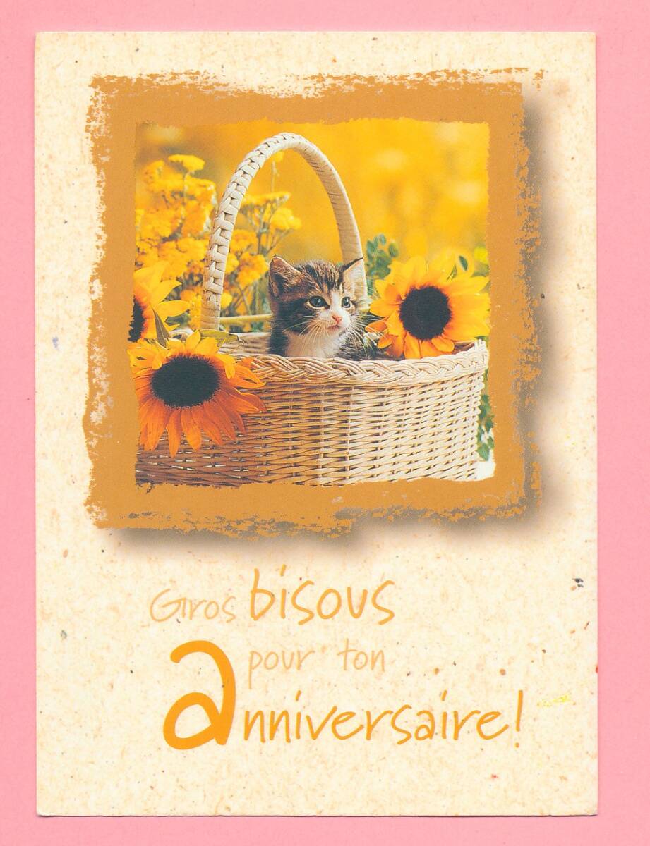 猫(22) E76◆ビンテージポストカード フランス ドイツ ベルギー イタリア イギリス ネコ ねこ 子猫 外国絵葉書_画像2