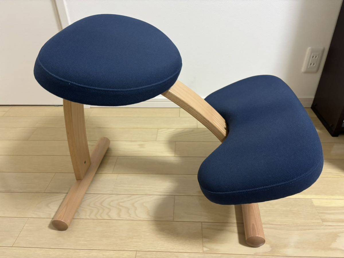 バランスチェア 姿勢矯正 サカモトハウス バランスイージー 学習椅子 北欧 Rybo リボ社 balans EASY