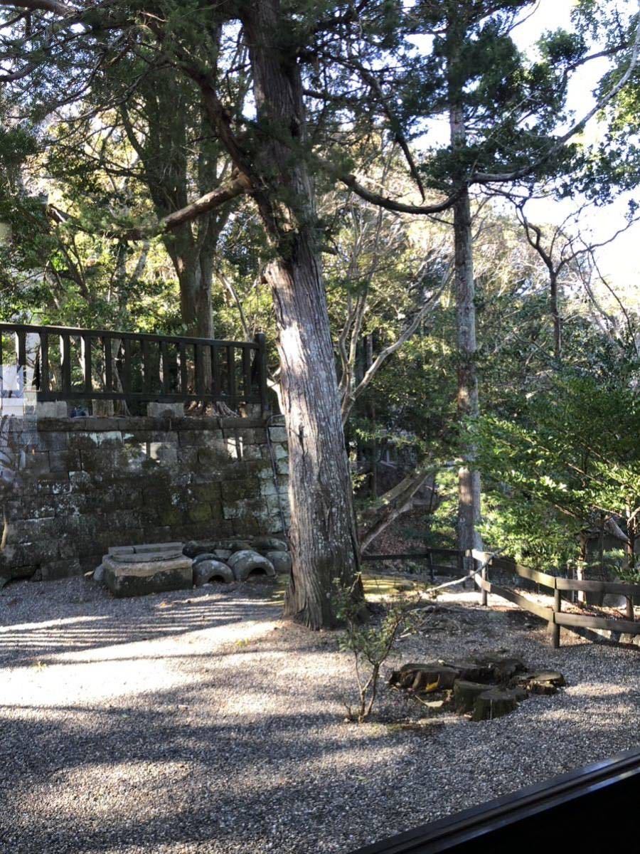 安房神社　金運御守り_画像7