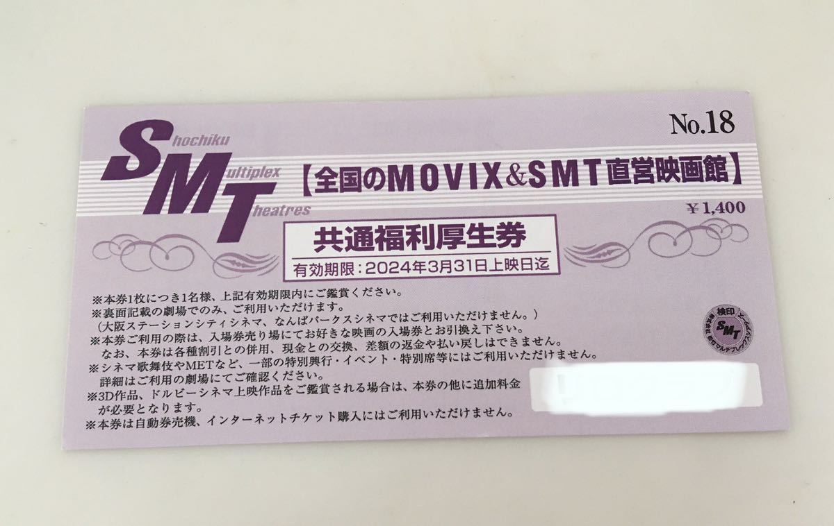 全国のMOVIX ＆ SMT直営映画館 映画鑑賞券 - その他