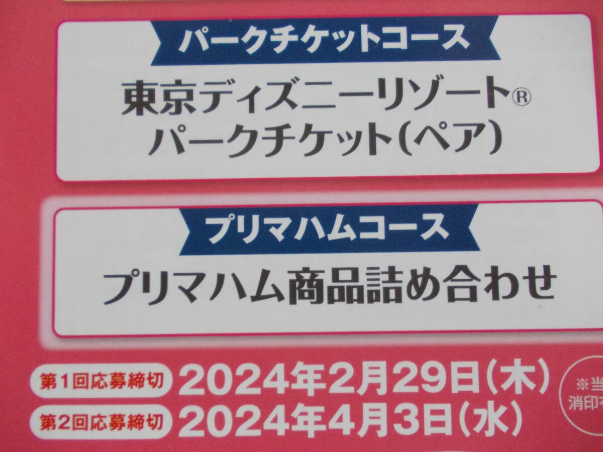 ◎4/3〆 懸賞応募 20枚 バーコード　プリマハム キャンペーン 東京 ディズニーリゾート パークチケット ペア ディズニーシー 貸切ご招待_画像3