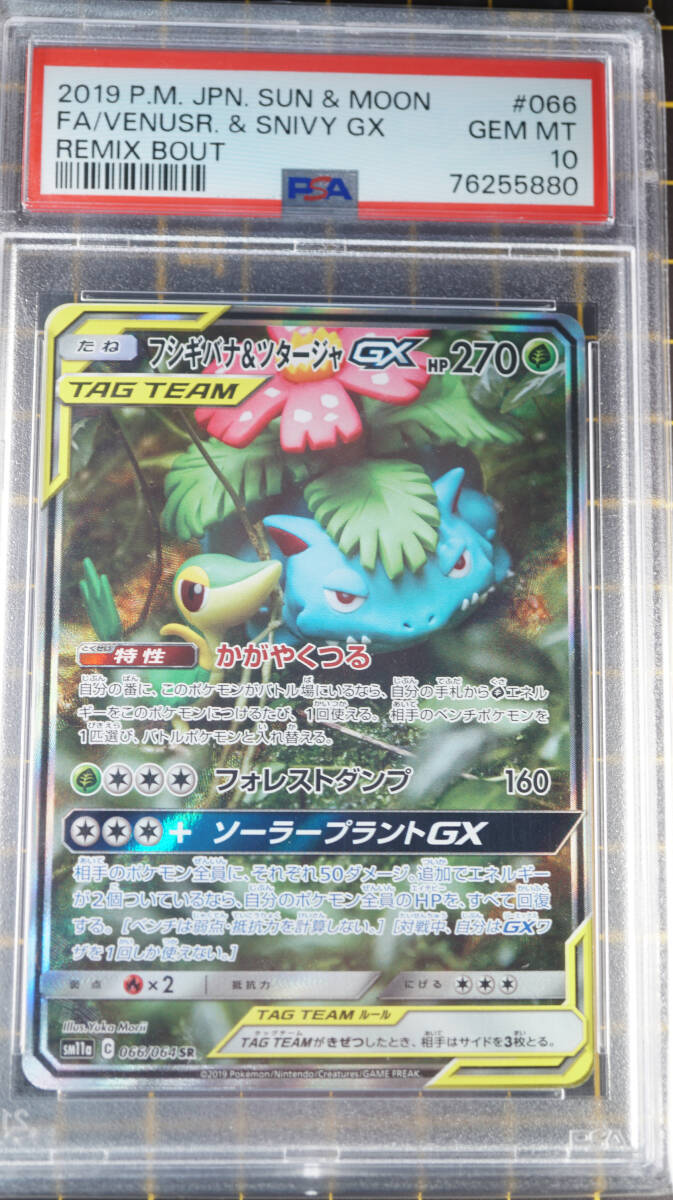 PSA10 鑑定品　フシギバナ＆ツタージャGX　SR　ポケモンカードゲーム　 　ポケカ　_画像1