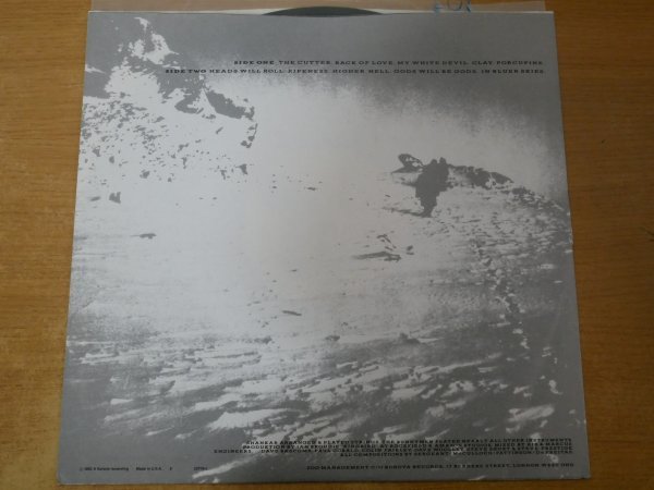 A3-147＜LP/US盤＞エコー&ザ・バニーメン Echo & The Bunnymen / Porcupine_画像3