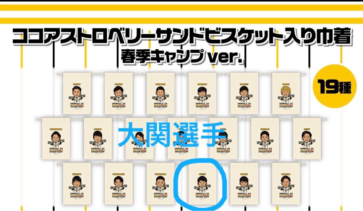 最終値下げ！宮崎春季キャンプver. 巾着　大関友久　47