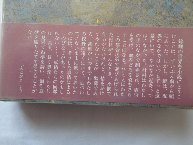 『妖精たちの回廊』赤江瀑　昭和５６年　初版カバー帯ビニールカバー　中央公論社_画像4