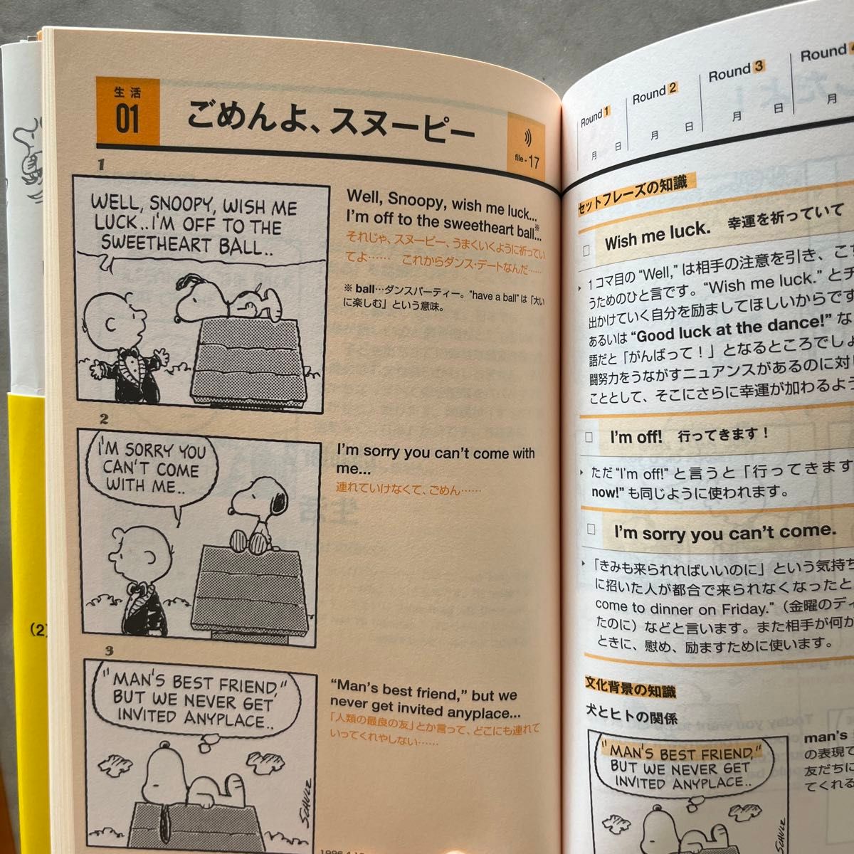  毎日のスヌーピー　現場で使える英会話力をつける Ｃｈａｒｌｅｓ　Ｍ．Ｓｃｈｕｌｚ／著　Ｊａｍｅｓ　Ｍ．Ｖａｒｄａｍａｎ／著