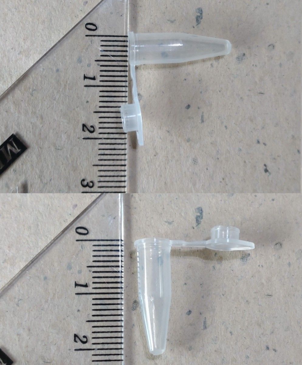 種子 花粉 保存容器 キャップ付き 50個 エケベリア リトープス