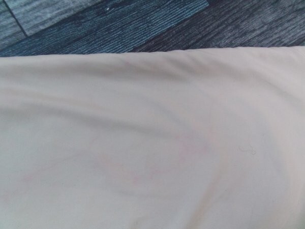 ELLE GOLF レディース ワンポイント刺繍 裏起毛 シャカシャカ ジップジャケット 9 クリーム赤_画像3