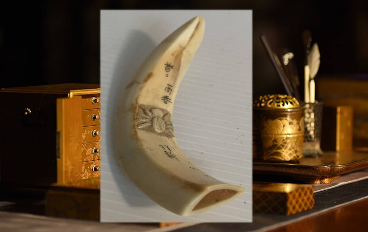 ●石見根付 ●蜘蛛 ●猪牙 古牙 獣牙 時代物 骨董 いのしし ○石見根付 ○蜘蛛 ○猪牙 古牙 獣牙 時代物 骨董 いのしし