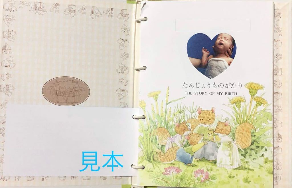 絵本アルバム　写真整理　赤ちゃんの誕生物語　The Story of My Birth 記念_画像4