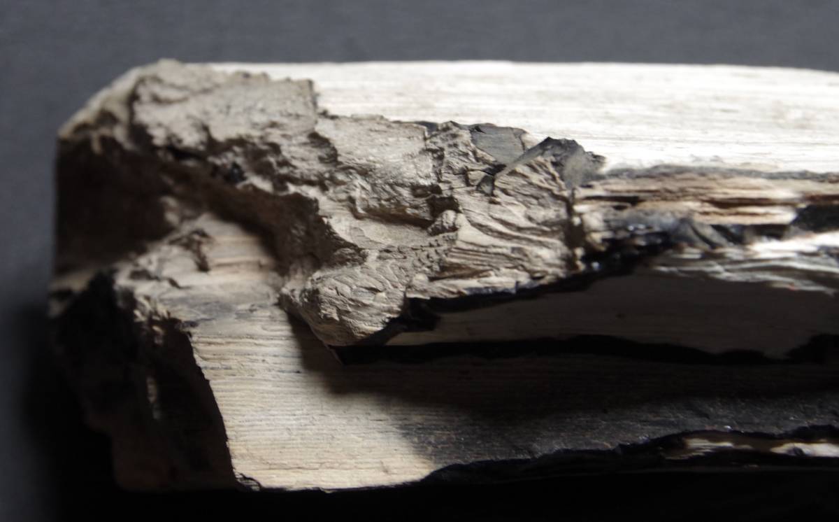 珪化木　木化石　5.1ｋｇ　忍耐・継続と平常心のパワーストーン　ペトリファイドウッド　アゲート_画像7