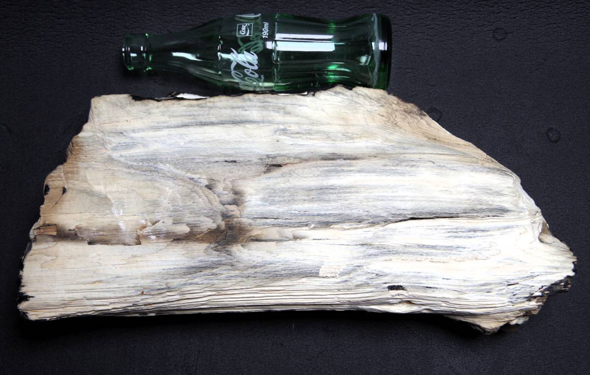 珪化木　木化石　5.1ｋｇ　忍耐・継続と平常心のパワーストーン　ペトリファイドウッド　アゲート_画像6