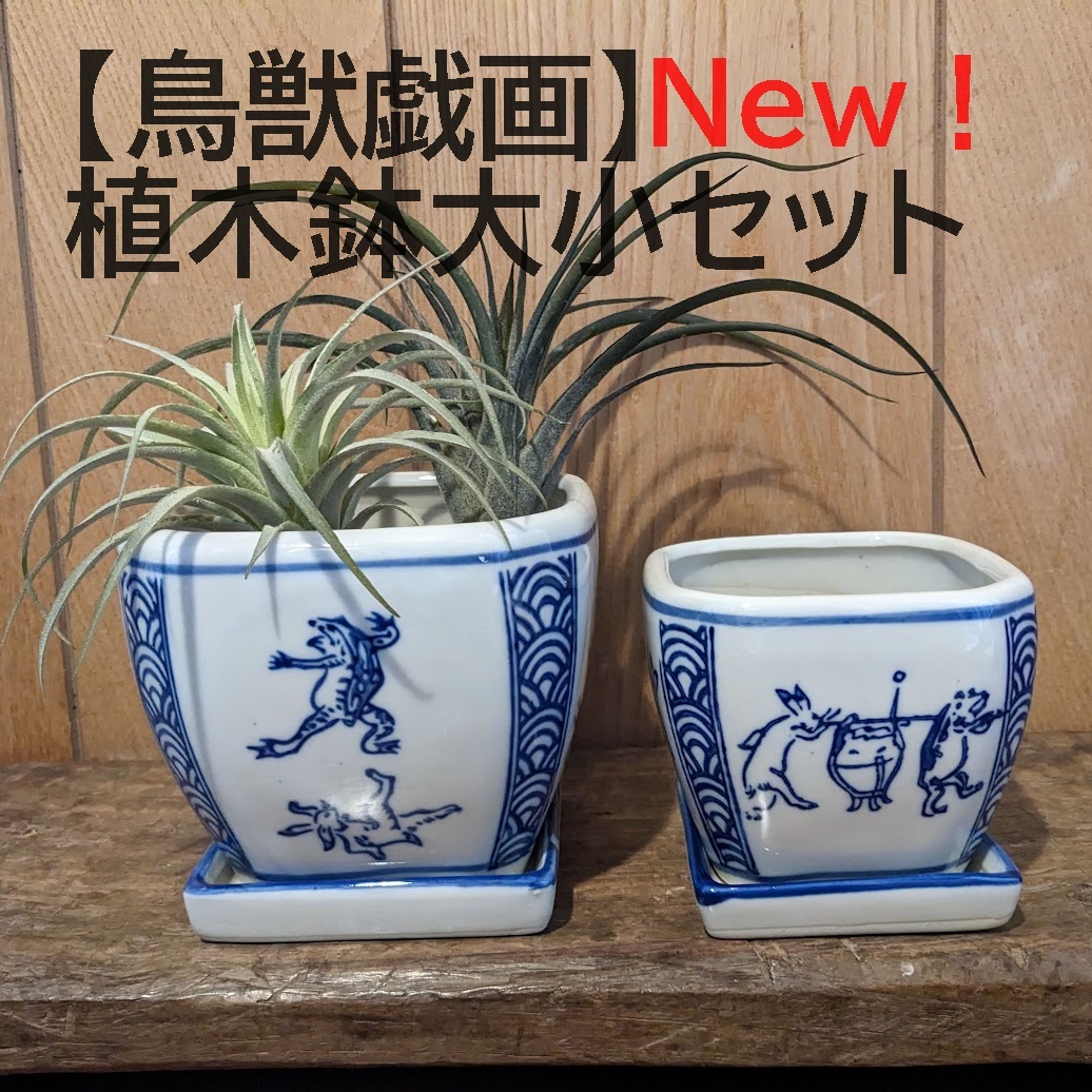 【鳥獣戯画1個】植木鉢 大小2点セット　縁起物　四角 正方角切　多肉植物　鉢カバー　兎　蛙　サボテン　苔　盆栽_画像1