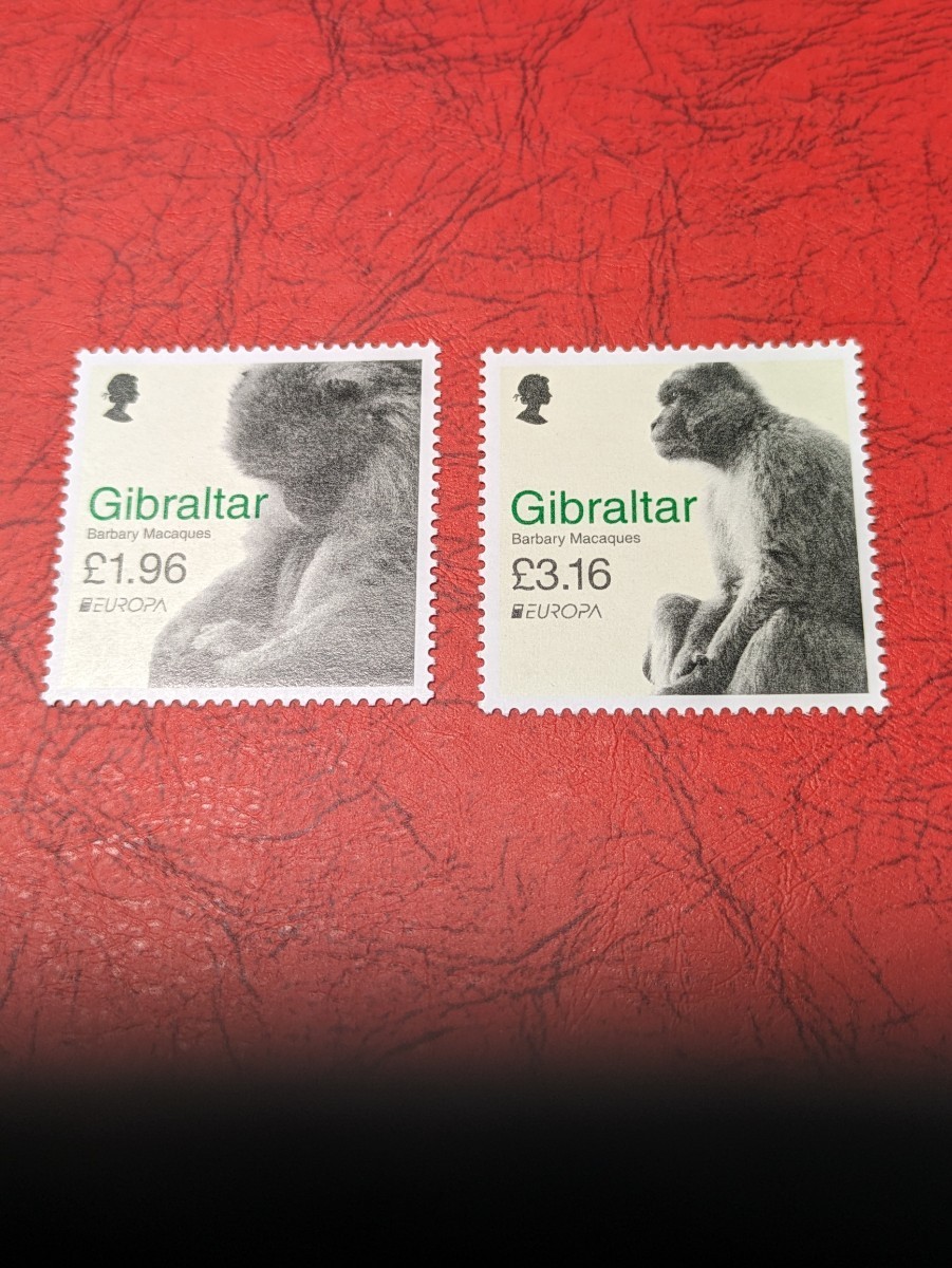 ジブラルタルのヨーロッパ切手 未使用 猿  2種揃 ヒンジなしの画像1