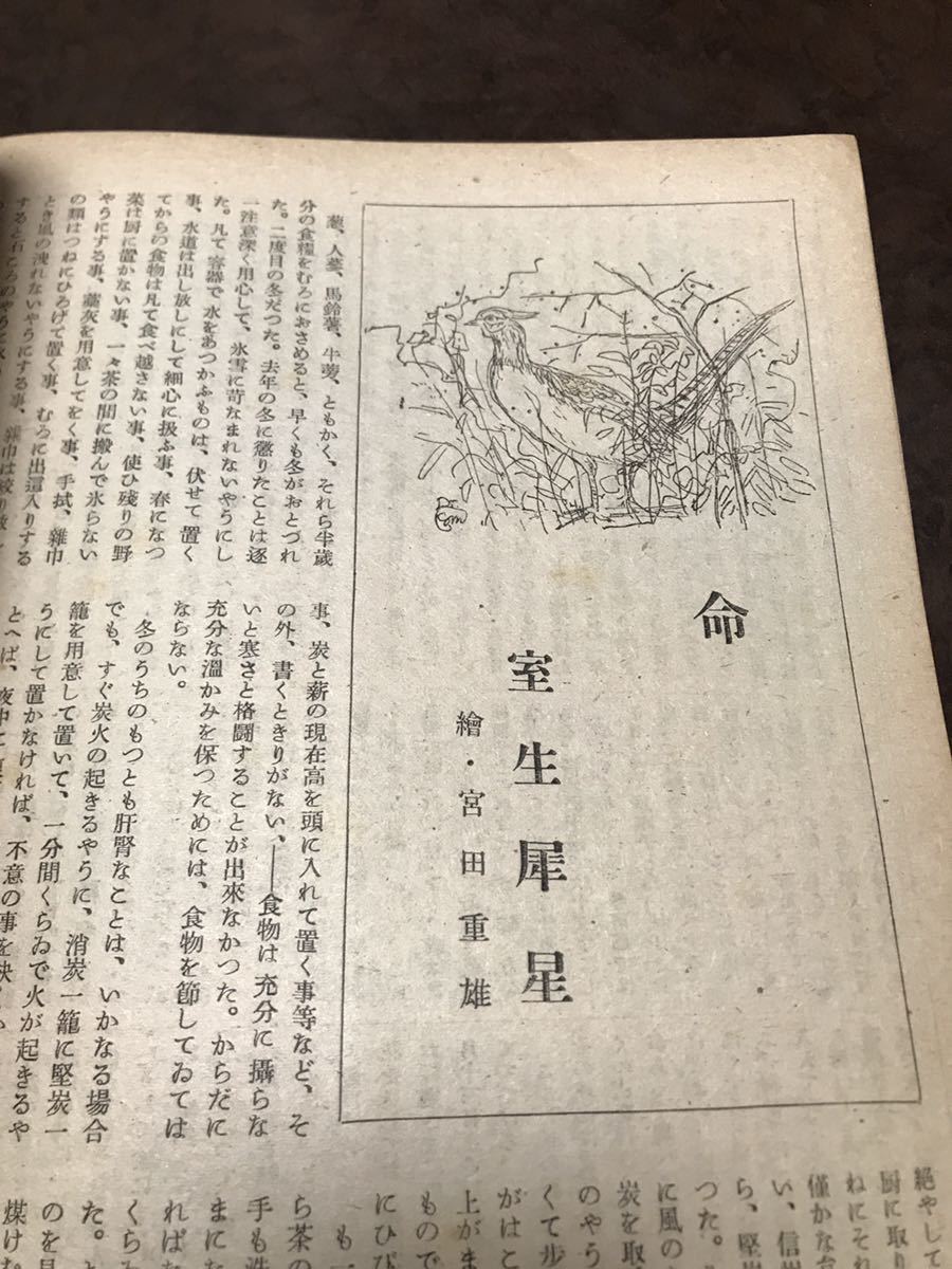 新風　昭和21年4月号　本文良　三好達治 室生犀星 芹沢光治良 藤沢桓夫 横山泰三 猪熊弦一郎 関敬吾 アメリカ映画 ヒトラーを殺した男_画像5